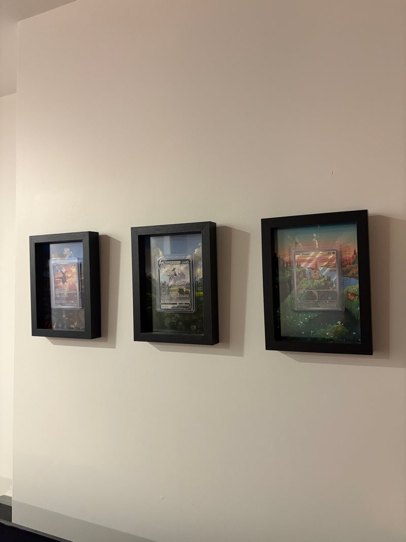 Holohouse frame