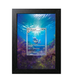Wartortle #171 Premium Shadow Box Display