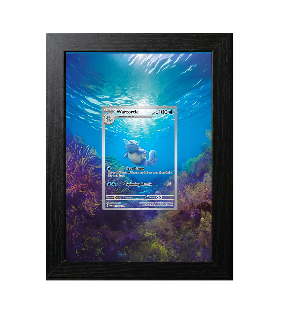 Wartortle #171 Premium Shadow Box Display