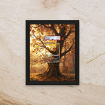Dedenne Perfect Order Display [High Definition] – Antenna Pokémon Extended Art Shadowbox | Premium Frame for Raw or Graded Cards