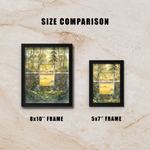 Pikachu Illustration Contest 2024 Display Frame | Special Promo Card Showcase (8x10") – Fits Raw & Graded Cards