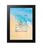 Squirtle #170 Premium Shadow Box Display